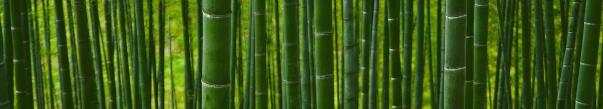 Tolle Bambusmöbel finden und kaufen!